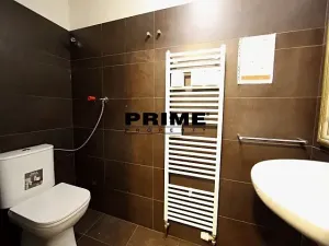 Pronájem obchodního prostoru, Praha - Vinohrady, Italská, 225 m2