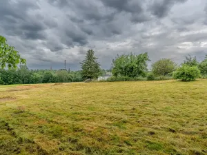 Prodej pozemku, Plesná, 894 m2