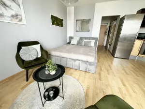 Prodej bytu 1+kk, České Budějovice - České Budějovice 2, Spojovací, 35 m2