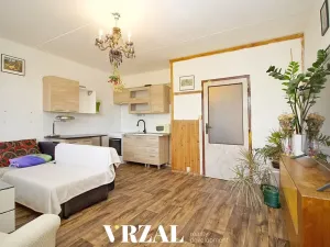 Pronájem bytu 1+kk, Plzeň, Ledecká, 39 m2
