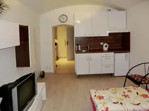 Pronájem bytu 1+kk, Praha - Břevnov, Šlikova, 23 m2