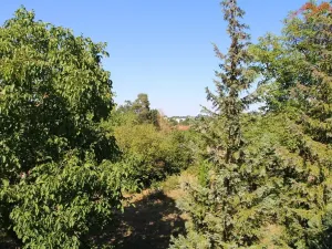Prodej pozemku pro bydlení, Svinaře, 1599 m2