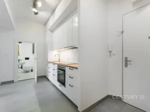 Pronájem bytu 2+1, Praha - Nusle, Čestmírova, 52 m2