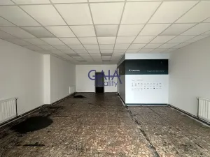 Prodej obchodního prostoru, Strážnice, Předměstí, 190 m2
