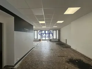 Prodej obchodního prostoru, Strážnice, Předměstí, 190 m2