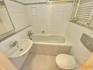 Pronájem bytu 1+kk, Praha - Nusle, Na Vítězné pláni, 23 m2