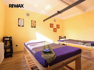 Prodej vícegeneračního domu, Praha - Vokovice, Půlkruhová, 385 m2