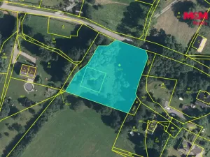 Prodej pozemku pro bydlení, Světlá Hora - Dětřichovice, 3506 m2