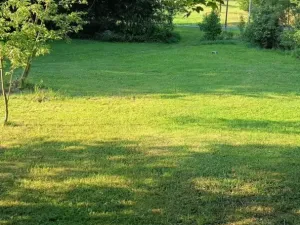 Prodej pozemku pro bydlení, Světlá Hora - Dětřichovice, 3506 m2