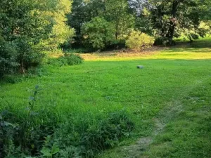 Prodej pozemku pro bydlení, Světlá Hora - Dětřichovice, 3506 m2