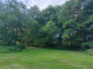Prodej pozemku pro bydlení, Světlá Hora - Dětřichovice, 3506 m2