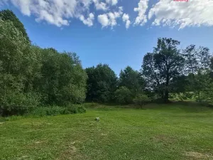 Prodej pozemku pro bydlení, Světlá Hora - Dětřichovice, 3506 m2
