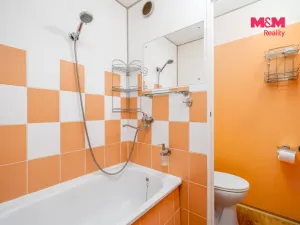 Prodej bytu 1+1, Ústí nad Labem - Neštěmice, Na Výšině, 35 m2