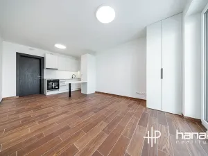 Pronájem bytu 1+kk, Olomouc, Třída Jiřího Pelikána, 33 m2