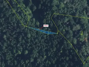 Dražba lesa, Malé Březno, 169 m2