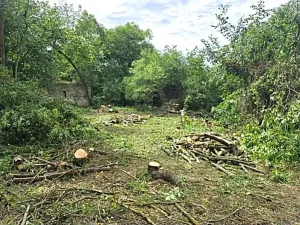 Prodej domu, Svinaře, Obecní, 100 m2