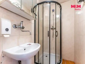 Prodej bytu 1+kk, Praha - Žižkov, Za žižkovskou vozovnou, 43 m2