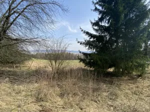 Prodej louky, Městečko Trnávka - Lázy, 1410 m2