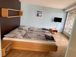 Prodej ubytování, Frýdlant nad Ostravicí, Harcovská, 500 m2
