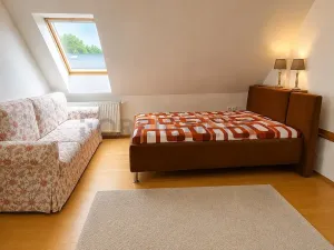Pronájem bytu 4+kk, Olomouc, Sokolská, 162 m2