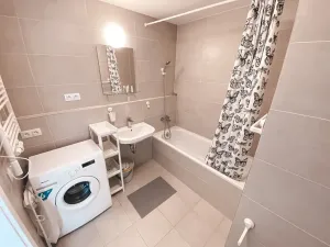 Pronájem bytu 1+kk, Praha - Žižkov, Olgy Havlové, 45 m2