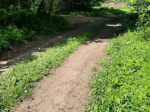 Prodej rybníku, Bulhary, 350 m2