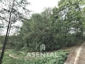Prodej pozemku, Orlová - Město, Klášterní, 2442 m2