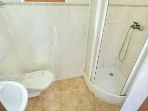 Prodej chaty, Nová Ves pod Pleší, 100 m2