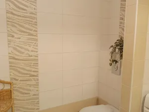 Pronájem bytu 1+kk, Napajedla, Nábřeží, 45 m2