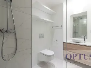 Pronájem bytu 6+kk a větší, Praha - Staré Město, Dušní, 380 m2