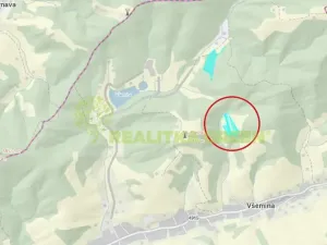 Prodej louky, Všemina, 13325 m2