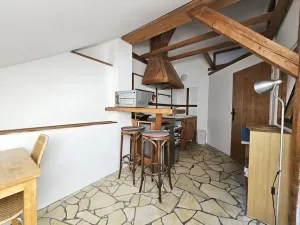 Pronájem bytu 1+1, Praha - Žižkov, Rokycanova, 41 m2