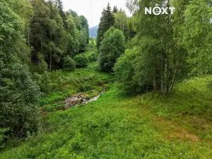 Prodej pozemku pro bydlení, Horní Vltavice, 2934 m2