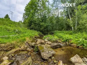 Prodej pozemku pro bydlení, Horní Vltavice, 2934 m2
