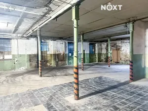 Pronájem výrobních prostor, Dětřichov, 6890 m2