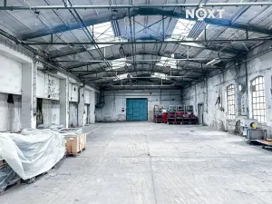 Pronájem výrobních prostor, Dětřichov, 6890 m2
