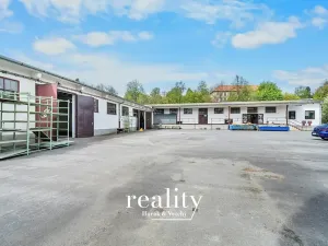 Pronájem skladu, Jihlava, Polenská, 180 m2