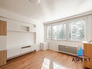 Pronájem bytu 1+kk, Praha - Vokovice, Evropská, 24 m2