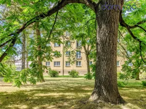 Prodej bytu 3+1, Svitavy - Předměstí, Olbrachtova, 60 m2