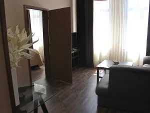Prodej apartmánu, Karlovy Vary, Moravská, 270 m2