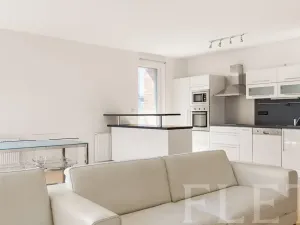 Pronájem bytu 3+kk, Praha - Hodkovičky, U Zátiší, 109 m2
