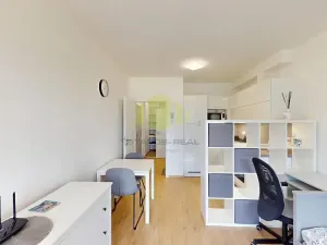 Pronájem bytu 1+kk, Olomouc, Wittgensteinova, 27 m2