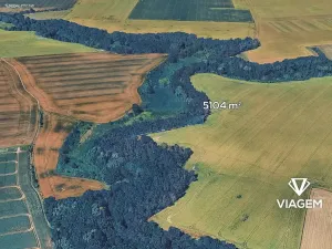Prodej zahrady, Královice, 5104 m2