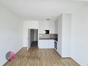 Pronájem bytu 1+kk, Plzeň, Železná, 32 m2