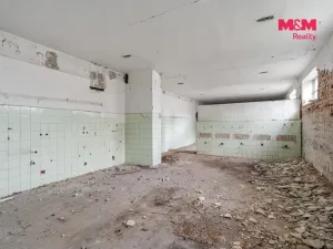 Pronájem obchodního prostoru, Velké Březno - Valtířov, 9439 m2