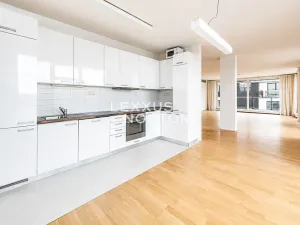 Pronájem bytu 5+kk, Praha - Vinohrady, Italská, 185 m2