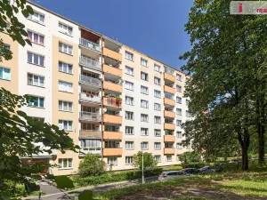 Prodej bytu 2+1, Sokolov, Mánesova, 61 m2