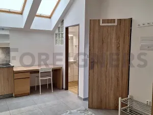 Pronájem bytu 1+kk, Olomouc, Ztracená, 20 m2