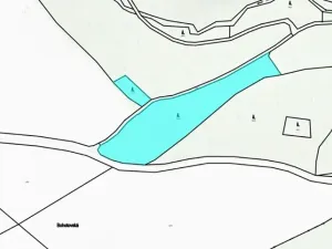 Prodej lesa, Liberk, 9005 m2