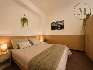 Prodej apartmánu, Benešov nad Černou, 36 m2